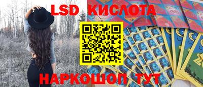 гашик Донецк