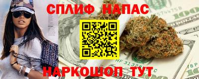 гашик Донецк