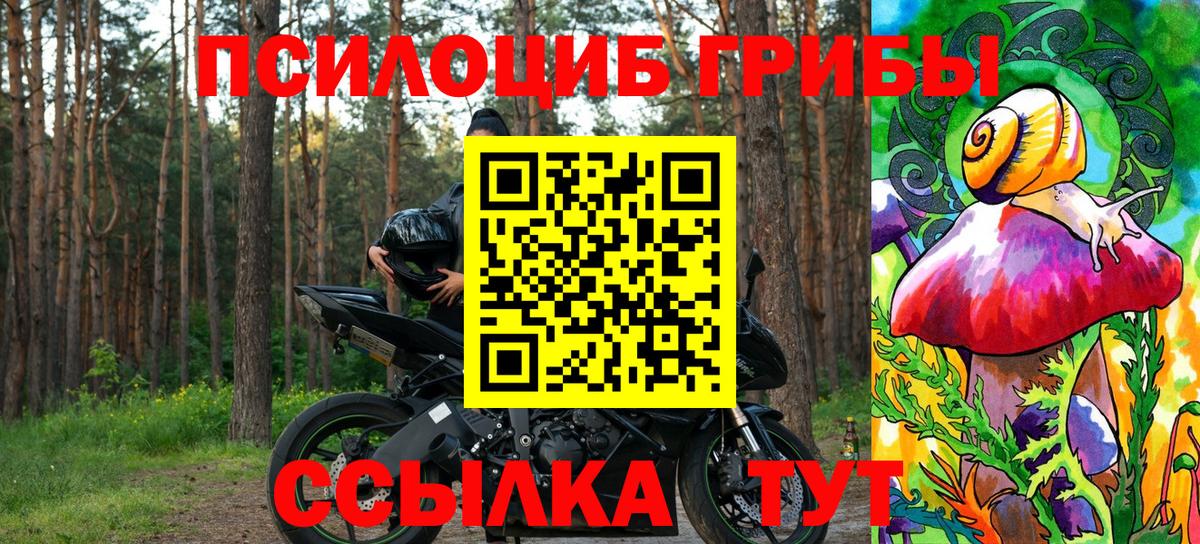 Кандалакша  Галлюциногенные грибы GOLDEN TEACHER  Вход с VPN 